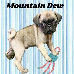 Mountian Dew
